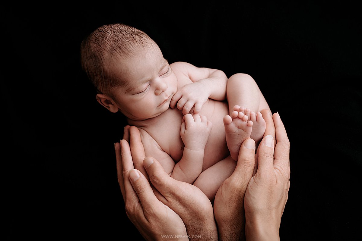 newbornshoot hengelo